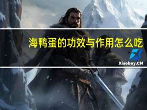 海鸭蛋的功效与作用怎么吃（海鸭蛋的功效与作用）