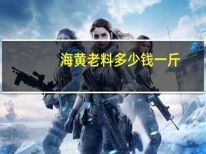 海黄老料多少钱一斤