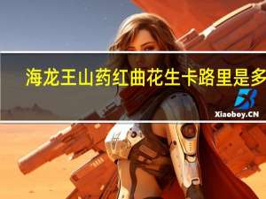 海龙王 山药红曲花生卡路里是多少