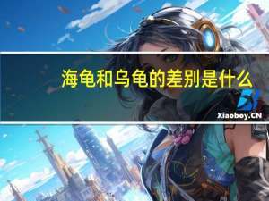 海龟和乌龟的差别是什么