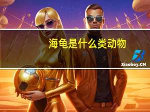 海龟是什么类动物