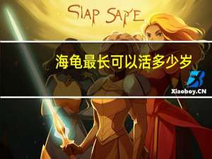 海龟最长可以活多少岁