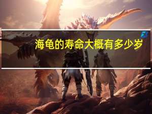海龟的寿命大概有多少岁