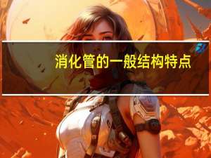 消化管的一般结构特点