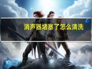 消声器堵塞了怎么清洗