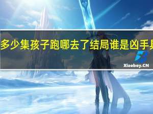消失的孩子一共多少集孩子跑哪去了结局谁是凶手具体情况详细内容介绍