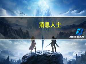消息人士：德国正在与荷兰和丹麦就联合采购弹药进行谈判