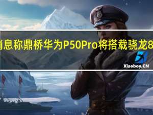 消息称鼎桥华为P50Pro将搭载骁龙888芯片
