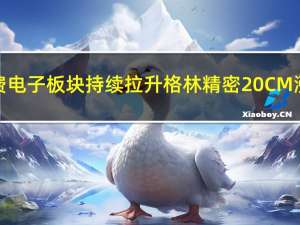 消费电子板块持续拉升 格林精密20CM涨停