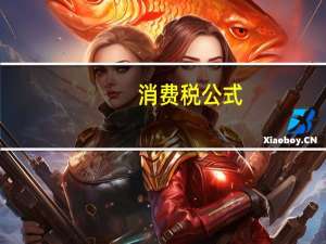 消费税公式