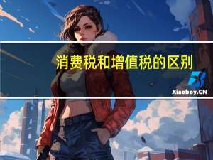 消费税和增值税的区别