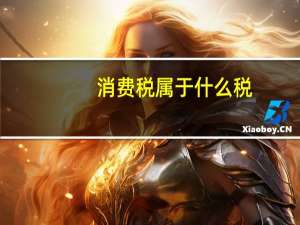 消费税属于什么税
