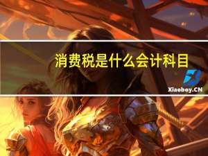 消费税是什么会计科目