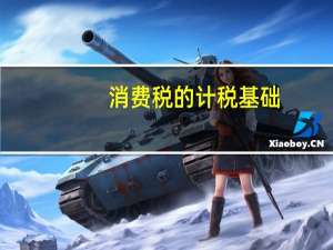 消费税的计税基础