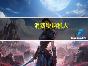 消费税纳税人