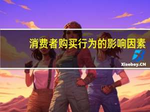 消费者购买行为的影响因素（消费者购买行为）