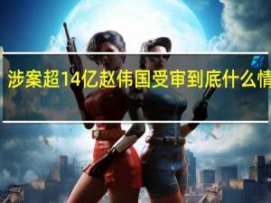涉案超14亿赵伟国受审 到底什么情况嘞