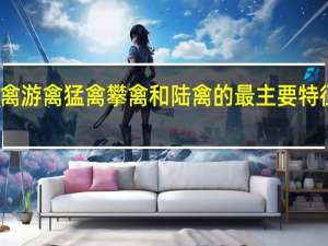 涉禽游禽猛禽攀禽和陆禽的最主要特征是什么（怎样区别游禽 猛禽 涉禽 攀禽 走禽）