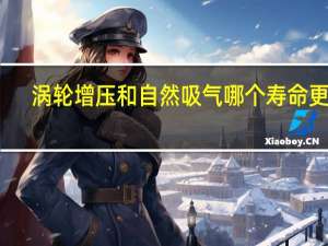 涡轮增压和自然吸气哪个寿命更长