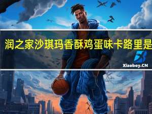 润之家 沙琪玛 香酥鸡蛋味卡路里是多少