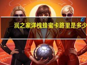 润之家 洋槐蜂蜜卡路里是多少