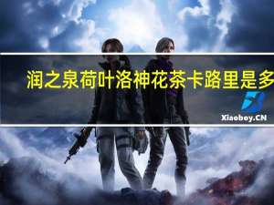 润之泉 荷叶洛神花茶卡路里是多少