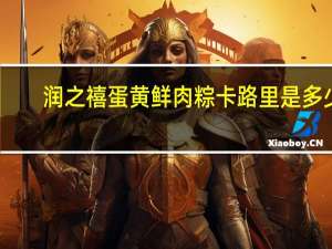 润之禧 蛋黄鲜肉粽卡路里是多少