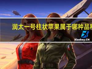 润太一号柱状苹果属于哪种品种