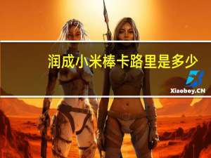 润成 小米棒卡路里是多少