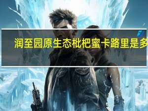 润至园 原生态枇杷蜜卡路里是多少