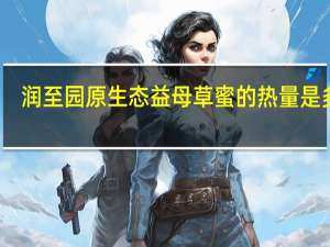 润至园 原生态益母草蜜的热量是多少