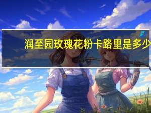 润至园 玫瑰花粉卡路里是多少