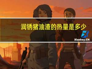 润锈 猪油渣的热量是多少