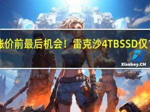 涨价前最后机会！雷克沙4TB SSD仅1079元：满血PCle 4.0