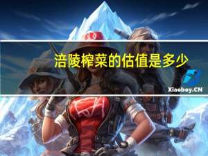 涪陵榨菜的估值是多少