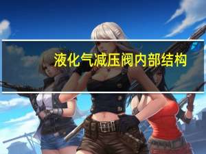 液化气减压阀内部结构