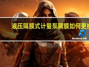 液压隔膜式计量泵隔膜如何更换,是否要返回厂家重装 高压液压隔膜式计量泵
