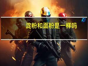 淀粉和面粉是一样吗