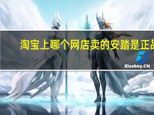 淘宝上哪个网店卖的安踏是正品,质量好的 安踏官方网店是真的吗
