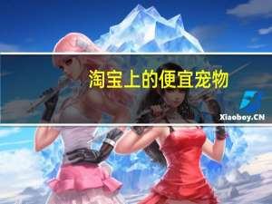 淘宝上的便宜宠物