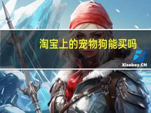 淘宝上的宠物狗能买吗