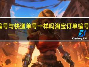 淘宝上的订单编号与快递单号一样吗 淘宝订单编号和快递单号怎么区分