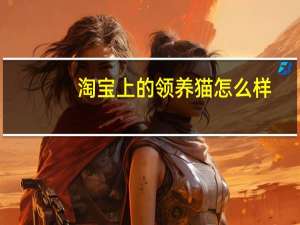 淘宝上的领养猫怎么样