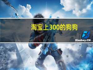 淘宝上300的狗狗
