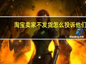淘宝卖家不发货怎么投诉他们（淘宝卖家不发货怎么投诉）