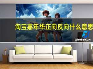淘宝嘉年华正向反向什么意思