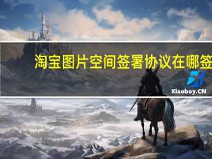 淘宝图片空间签署协议在哪签（淘宝图片空间签署协议）