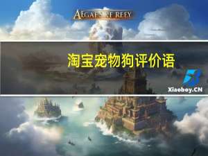 淘宝宠物狗评价语