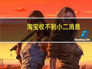 淘宝收不到小二消息（淘宝天下小二给卖家发消息）