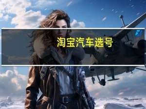 淘宝汽车选号